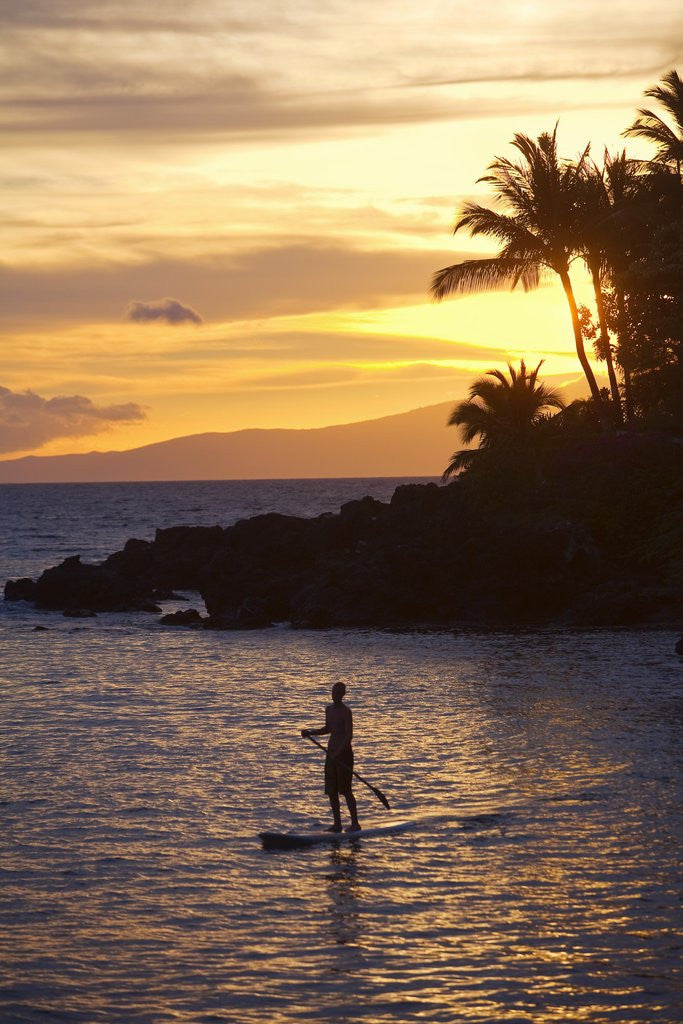 Detail of Stand-up paddler at sunset on Maui, Hawaii by Anonymous