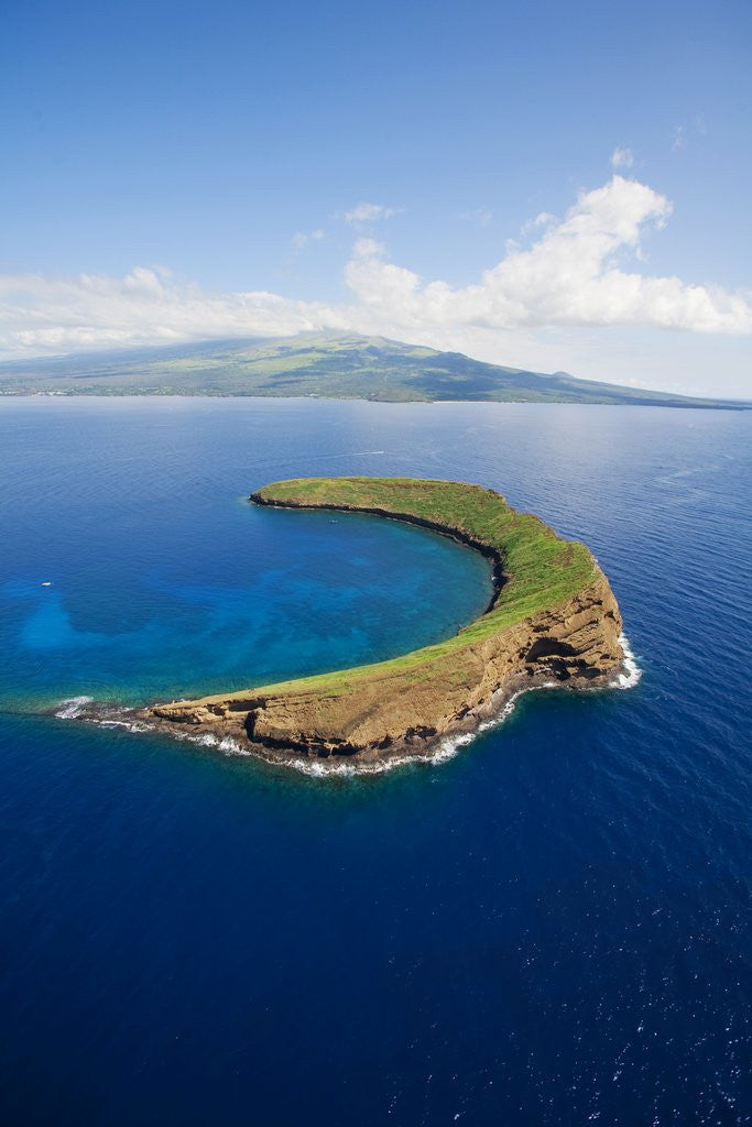 Detail of Molokini by Anonymous