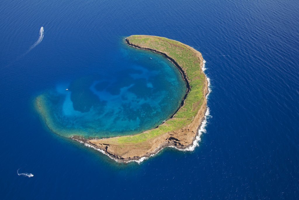 Detail of Molokini by Anonymous