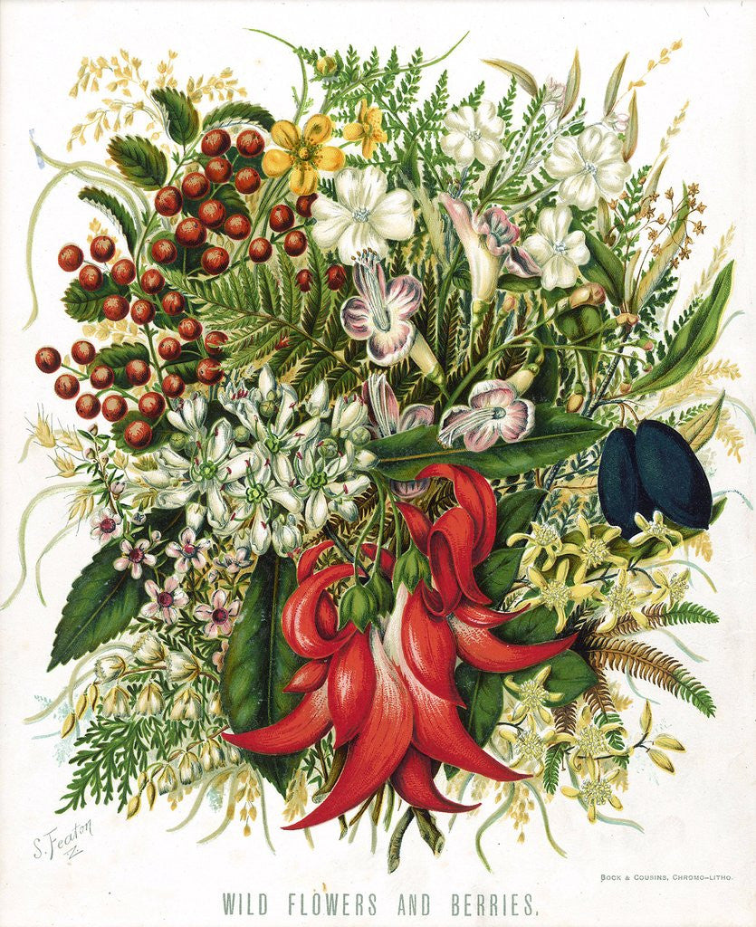 Detail of Wild Flowers and Berries by Corbis
