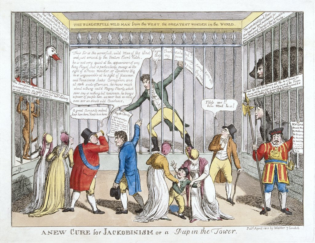 Detail of A New Cure for Jackobinism or a Peep in the Tower by Anonymous