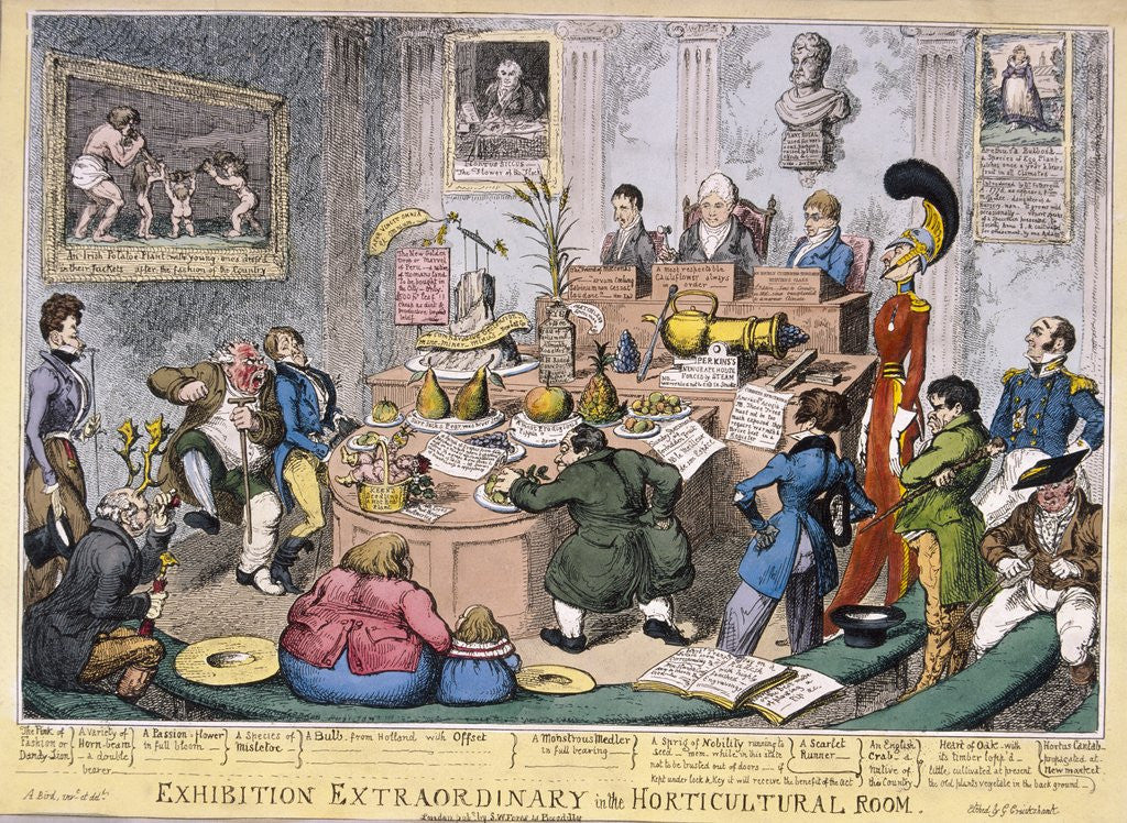 Detail of Exhibition Extraordinary in the Horticultural Room by George Cruikshank