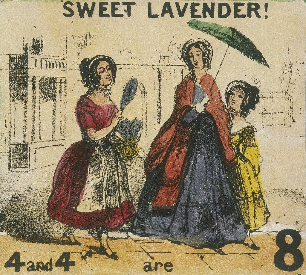 Detail of Sweet Lavender! by T.H. Jones