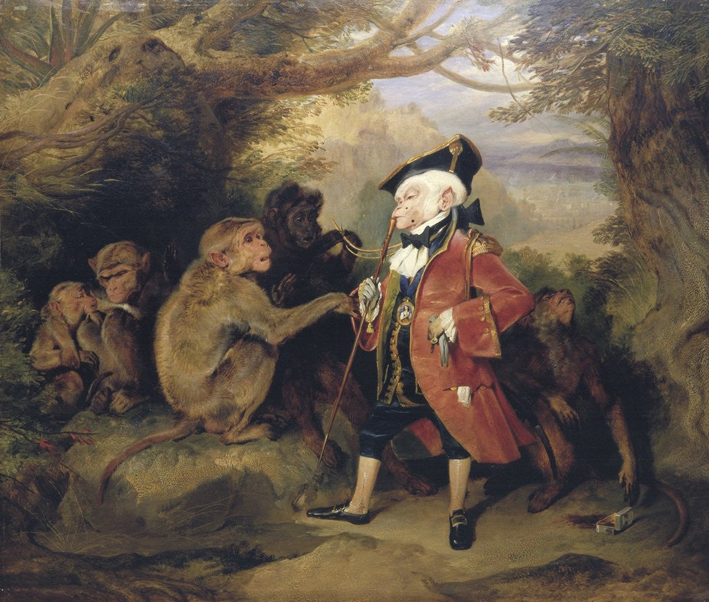 Detail of The Travelled Monkey by Edwin Henry Landseer