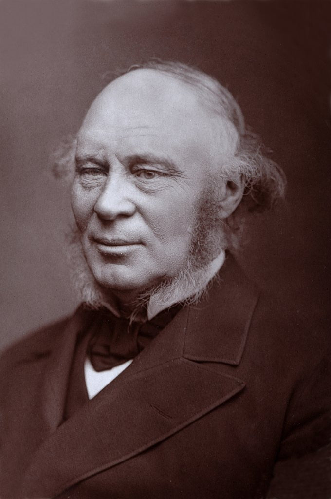 Detail of John Fowler (1817-1898) English Civil Engineer by Anonymous