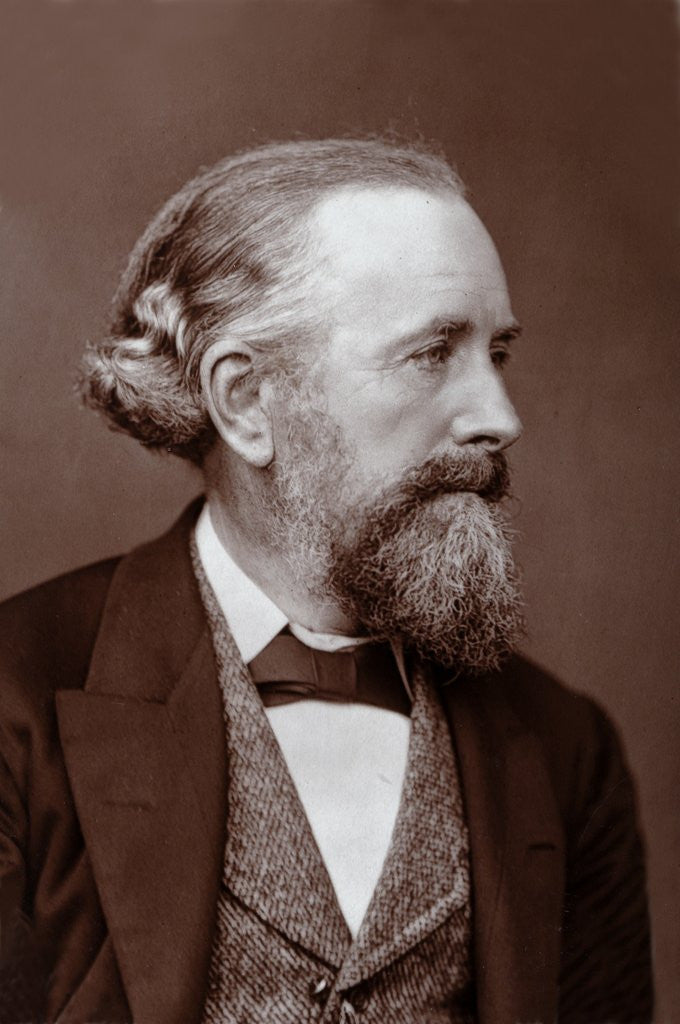 Detail of Edward Frankland (1825-1899) British Chemist by Anonymous