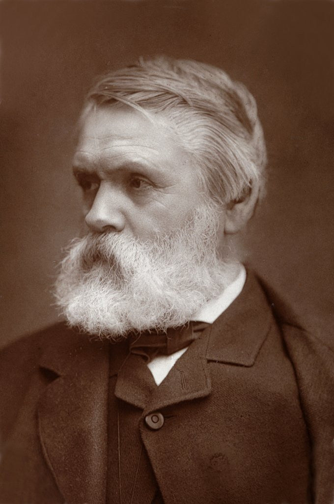 Detail of Tom Taylor (1817-1880) English Dramatist, Critic & Editor of Punch by Anonymous