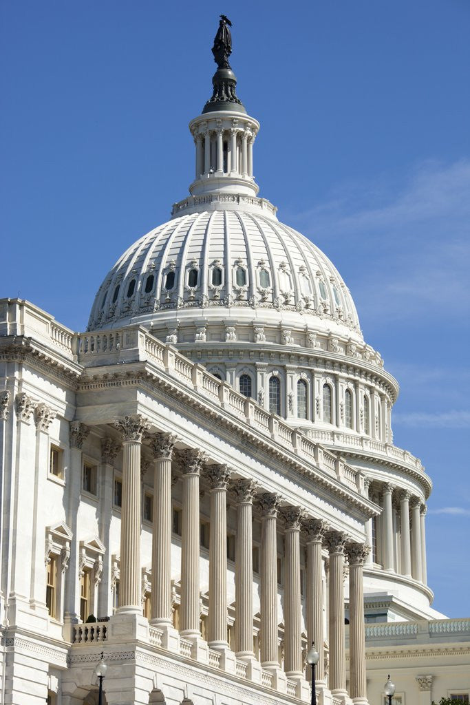 Detail of U. S. Capitol Building in Washington, DC by Anonymous