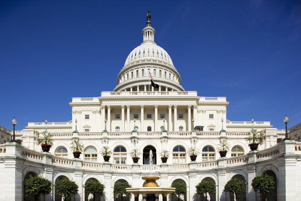 Detail of U. S. Capitol Building in Washington, DC by Anonymous