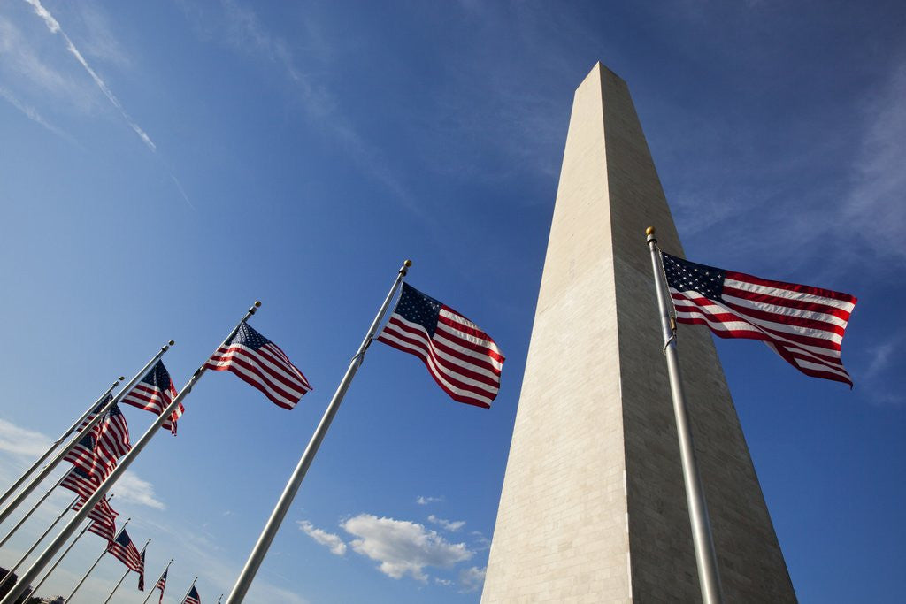 Detail of American flags encircling Washington Monument by Anonymous