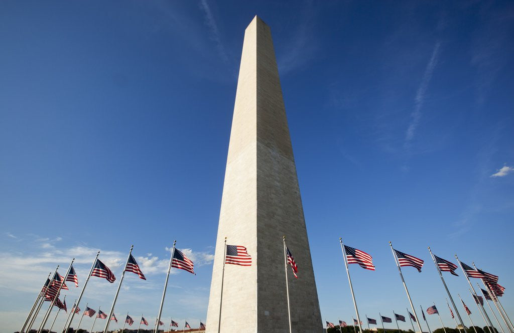 Detail of American flags encircling Washington Monument by Anonymous