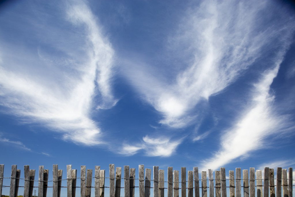 Detail of Cirrus clouds in summer sky by Corbis