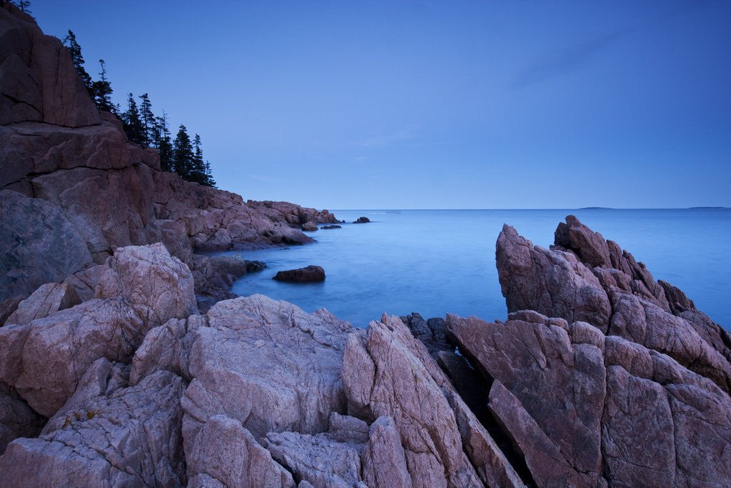 Detail of Atlantic Coastline, Acadia National Park, Maine by Anonymous