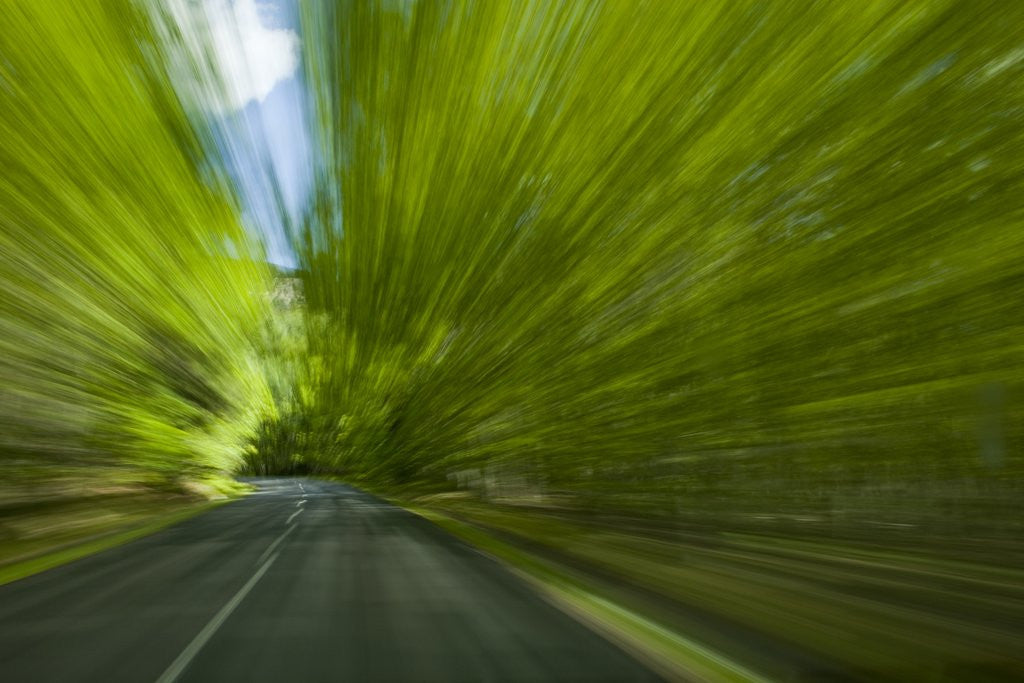 Detail of Driving through forest by Anonymous