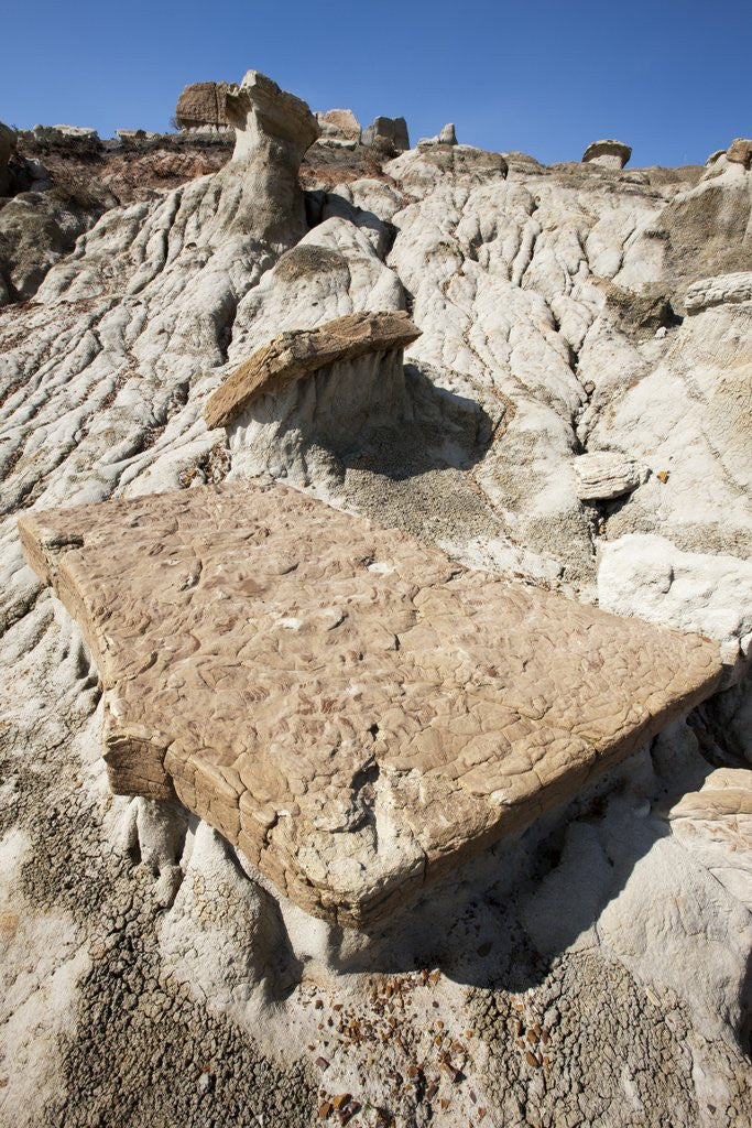 Detail of Badands in Theodore Roosevelt National Park by Anonymous