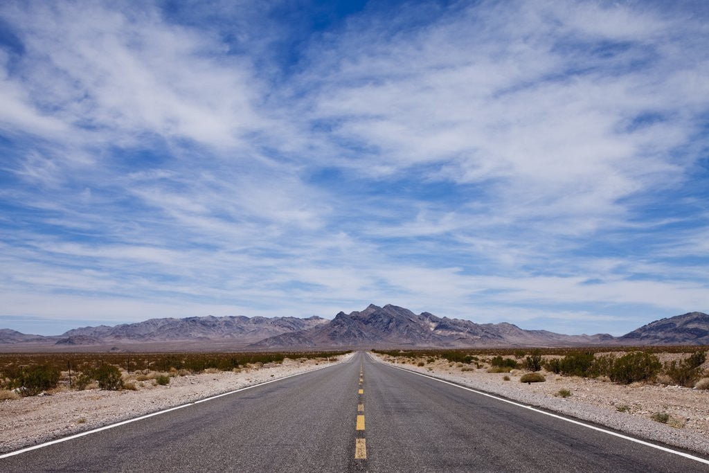 Detail of Desert Highway in Nevada by Anonymous