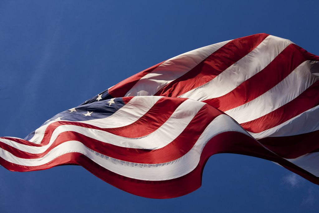 Detail of American Flag, Washington by Anonymous