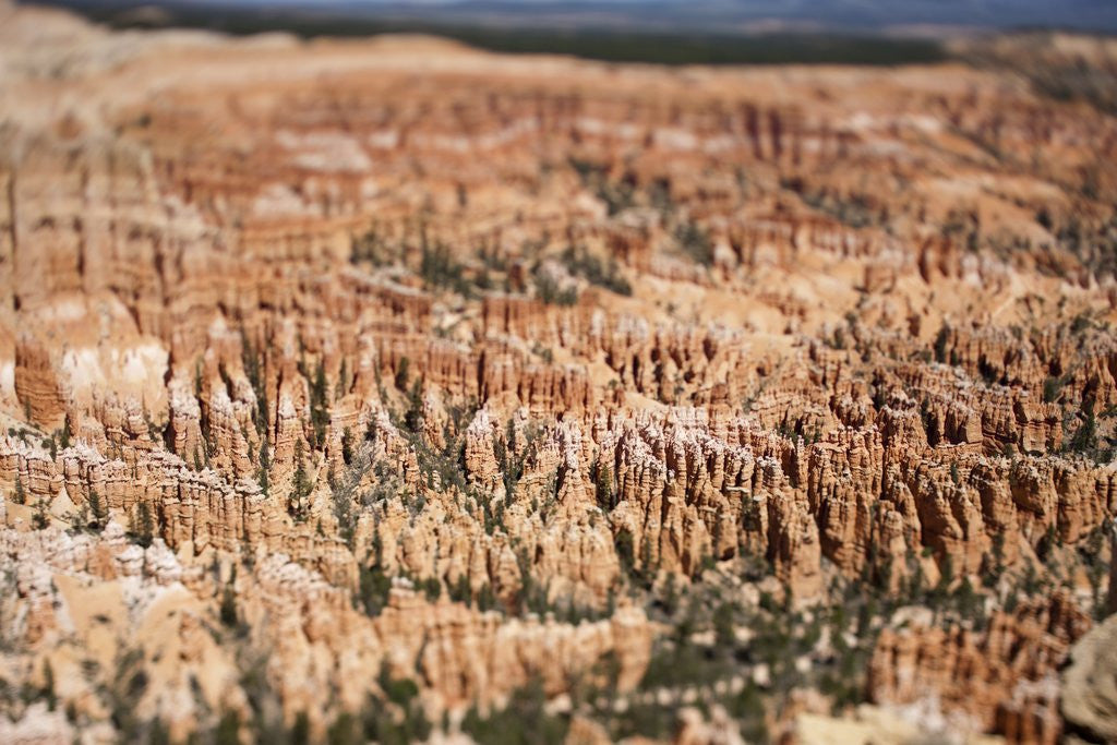 Detail of Bryce Canyon National Park by Anonymous