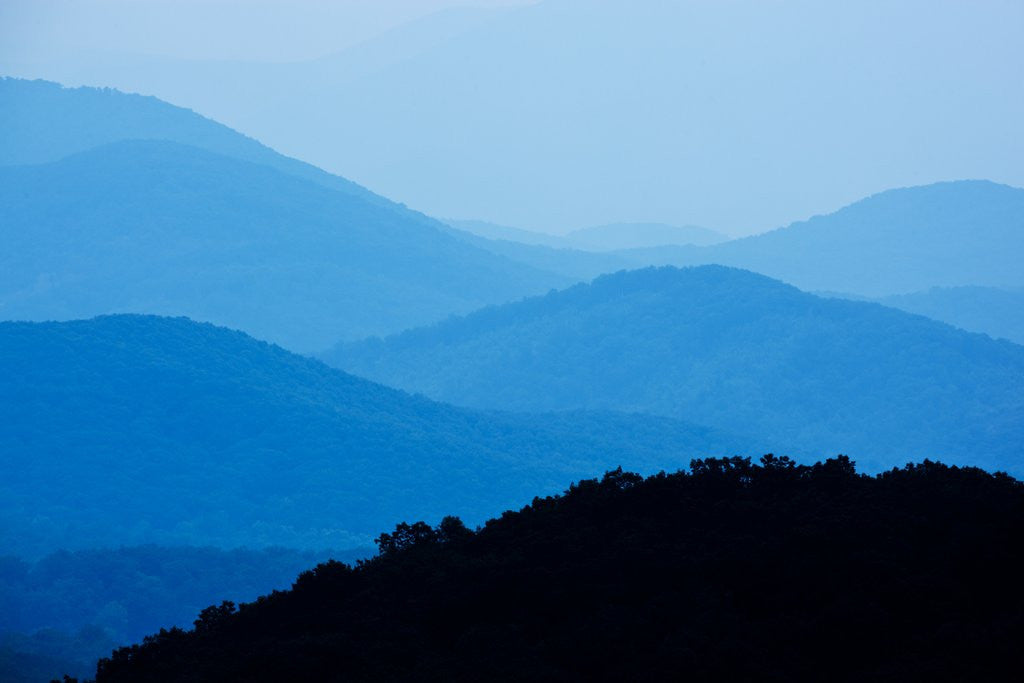 Detail of Skyline Drive, Shenandoah National Park, Virginia by Anonymous