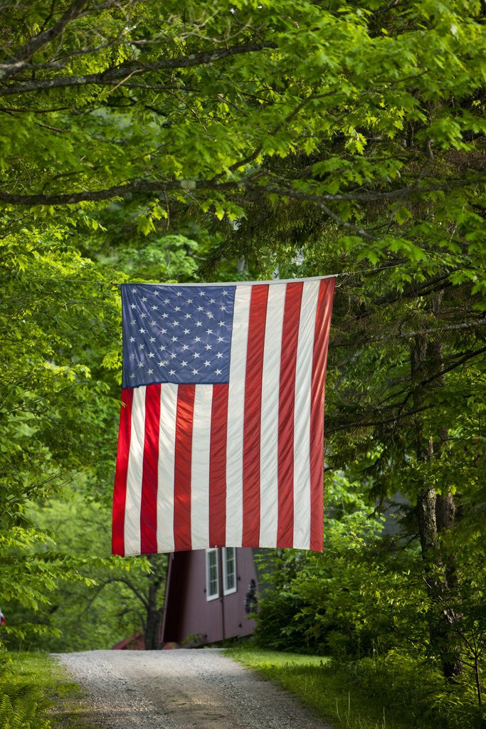 Detail of American flag hanging above gravel road by Anonymous