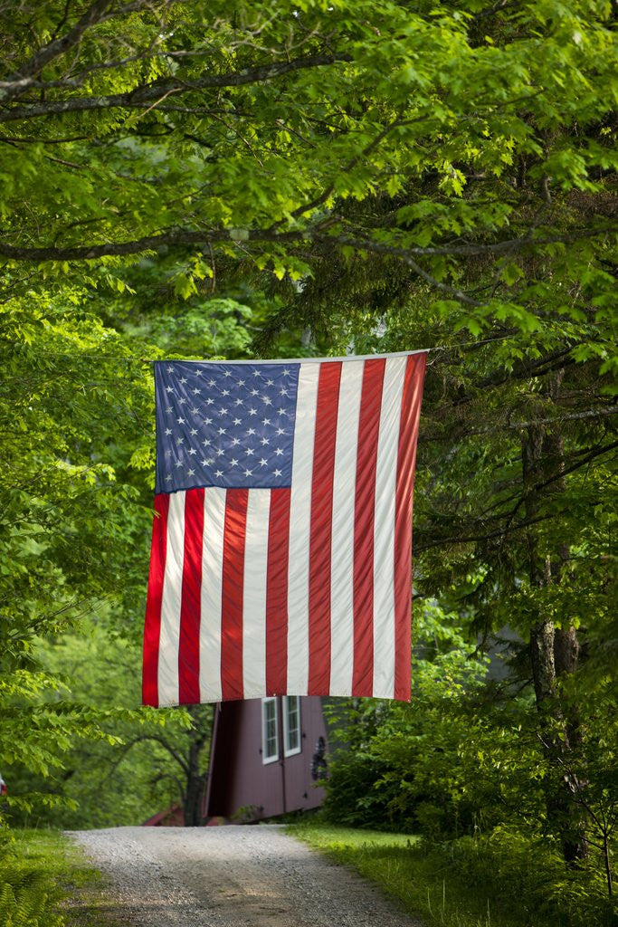 Detail of American flag hanging above gravel road by Corbis