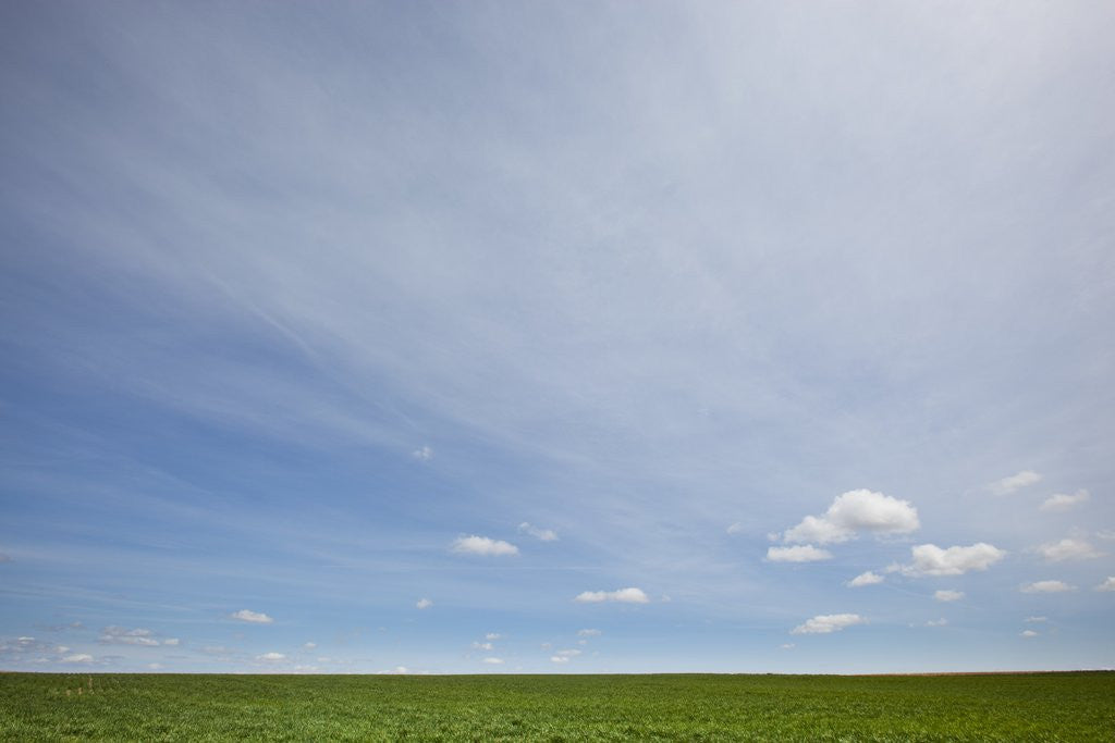 Detail of Sky above wheat field by Corbis