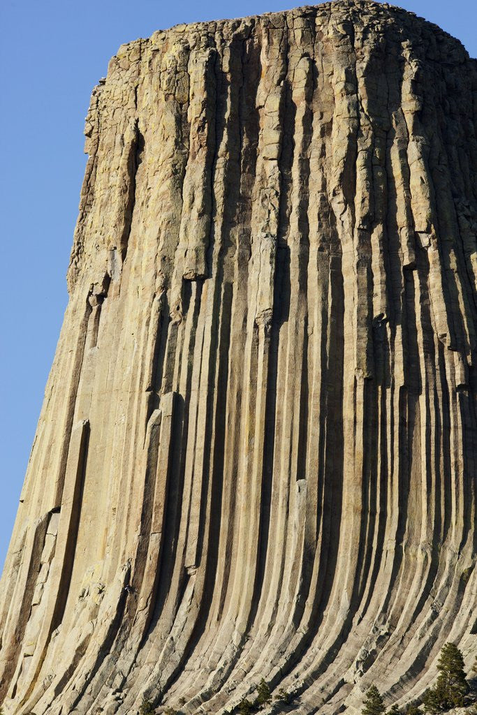 Detail of Devils Tower National Monument by Anonymous