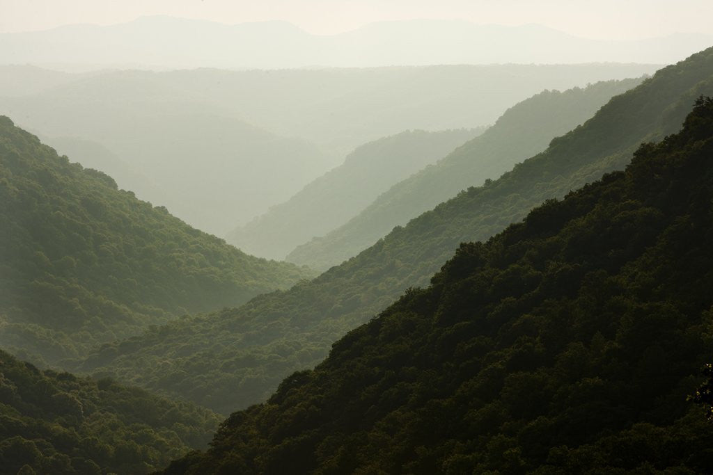 Detail of Allegheny Mountains in Babcock State Park by Corbis