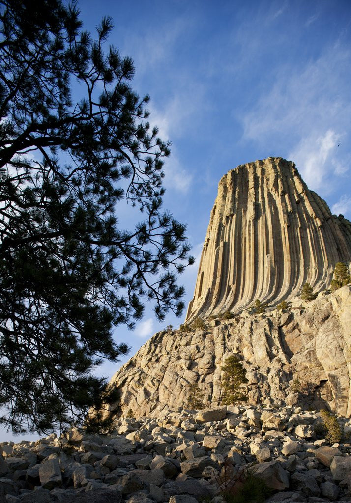 Detail of Devils Tower National Monument in Wyoming by Anonymous