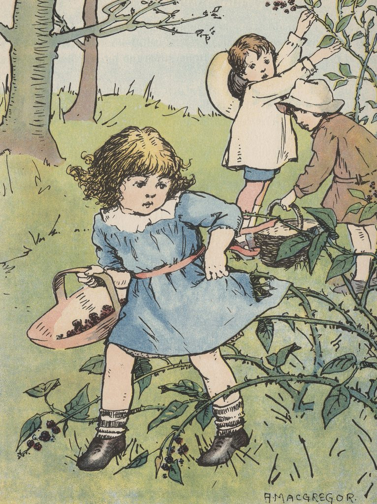 Detail of Girl caught on blackberry bushes by Anonymous