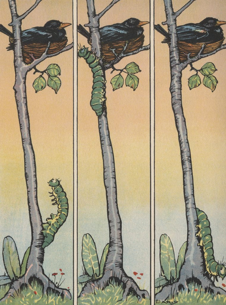 Detail of Caterpillar climbing tree with nesting bird by Anonymous