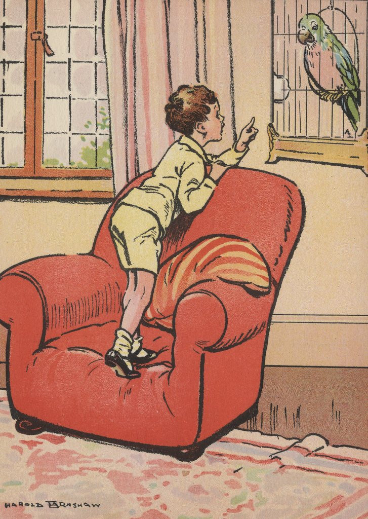 Detail of Boy talking to pet parrot by Anonymous