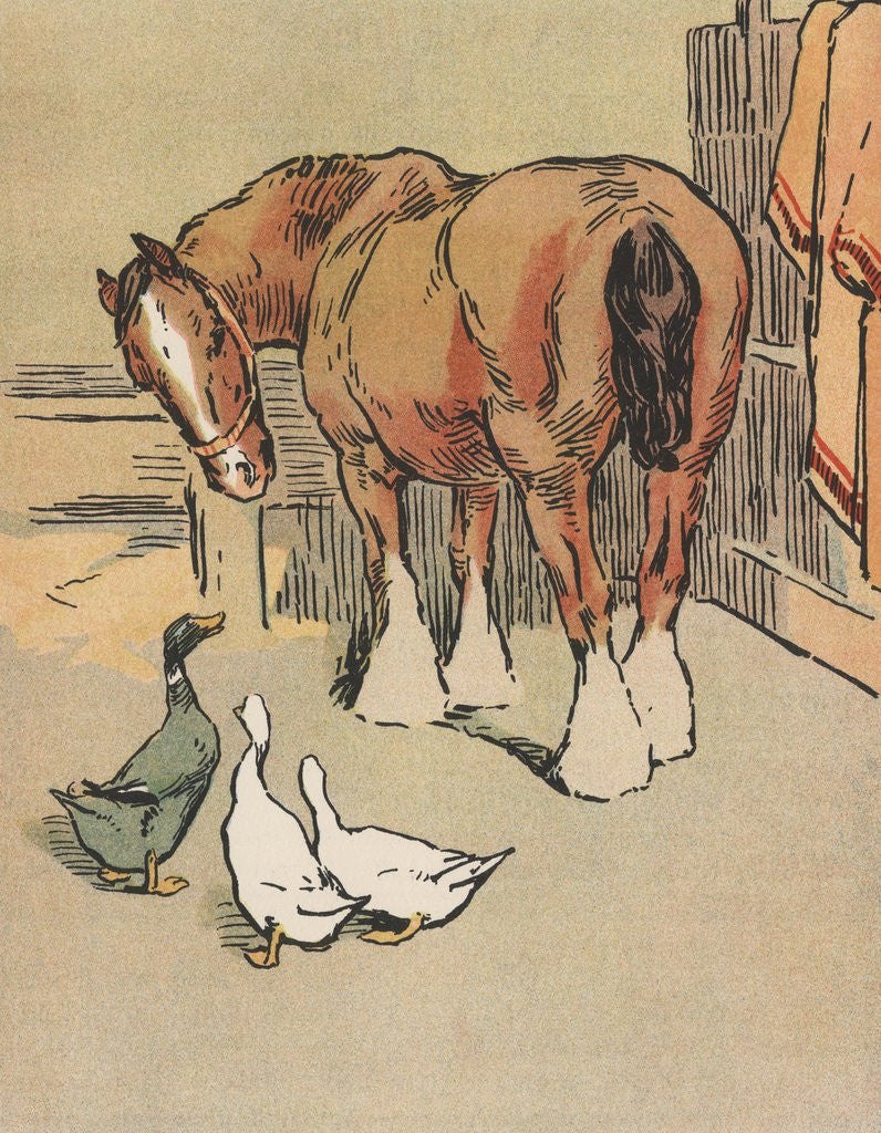 Detail of Horse and ducks by Anonymous