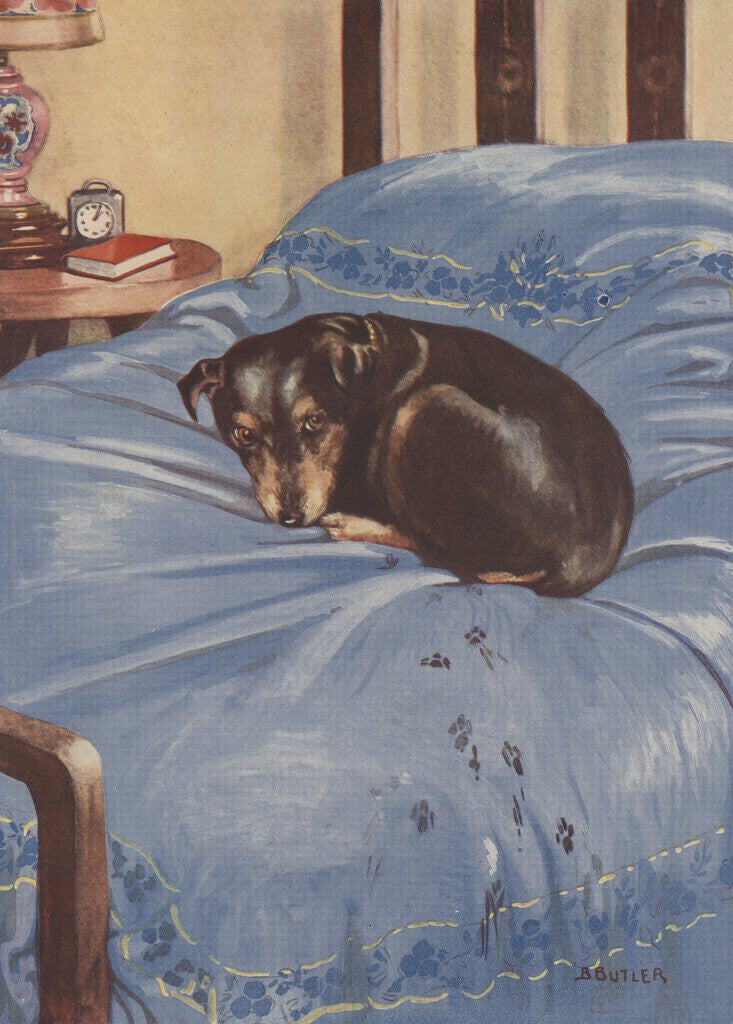 Detail of Dog lying on bedspead with muddy pawprints by Anonymous