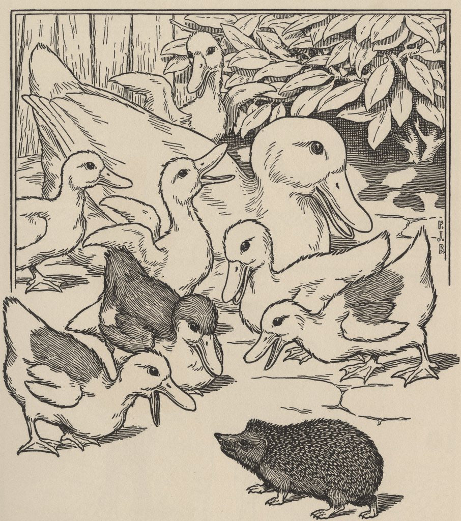 Detail of Hedgehog and ducklings by Anonymous