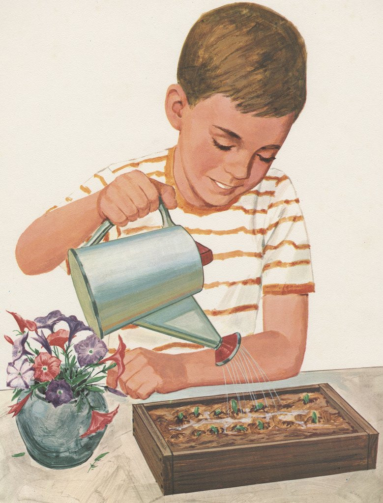 Detail of Boy watering plants by Anonymous