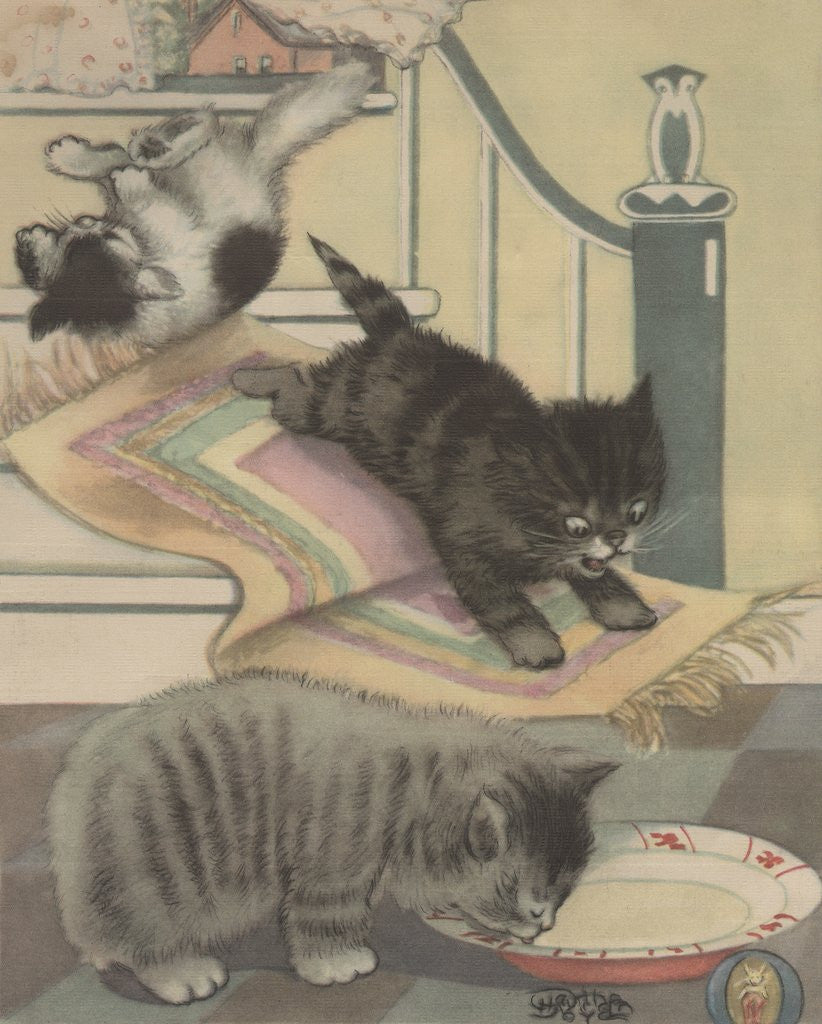 Detail of Kittens playing and drinking milk by Corbis
