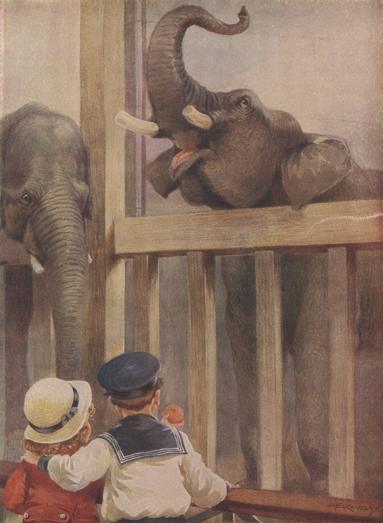 Detail of Children looking at elephants in zoo by Anonymous
