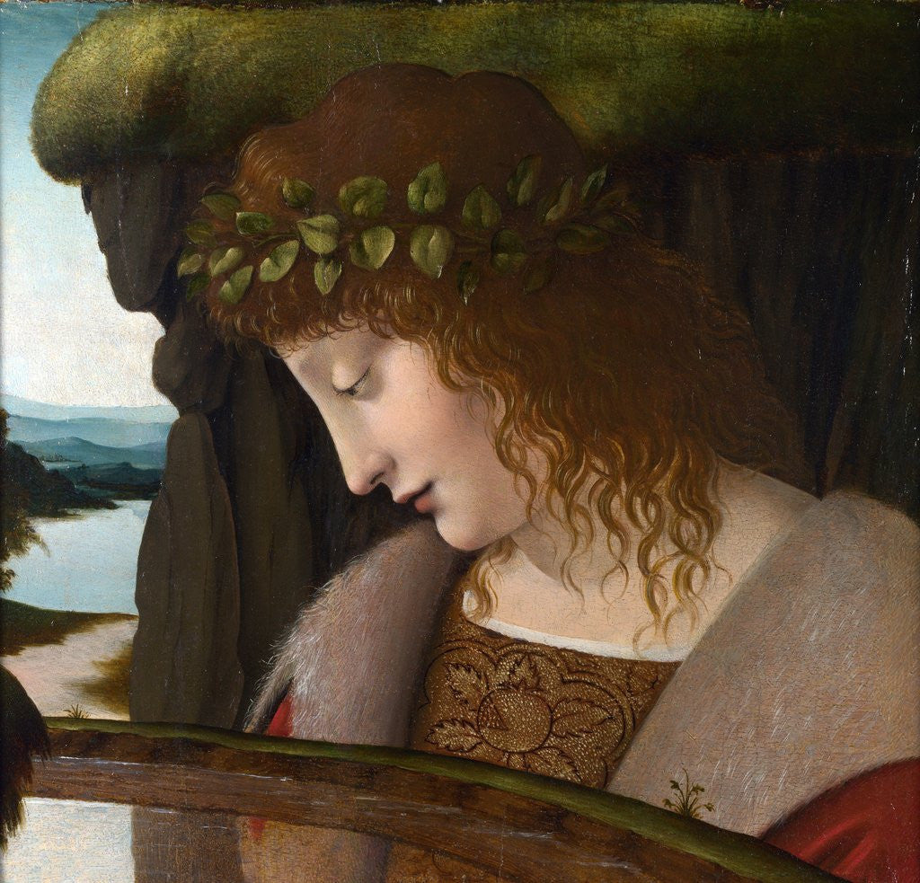 Detail of Narcissus by a Corbis