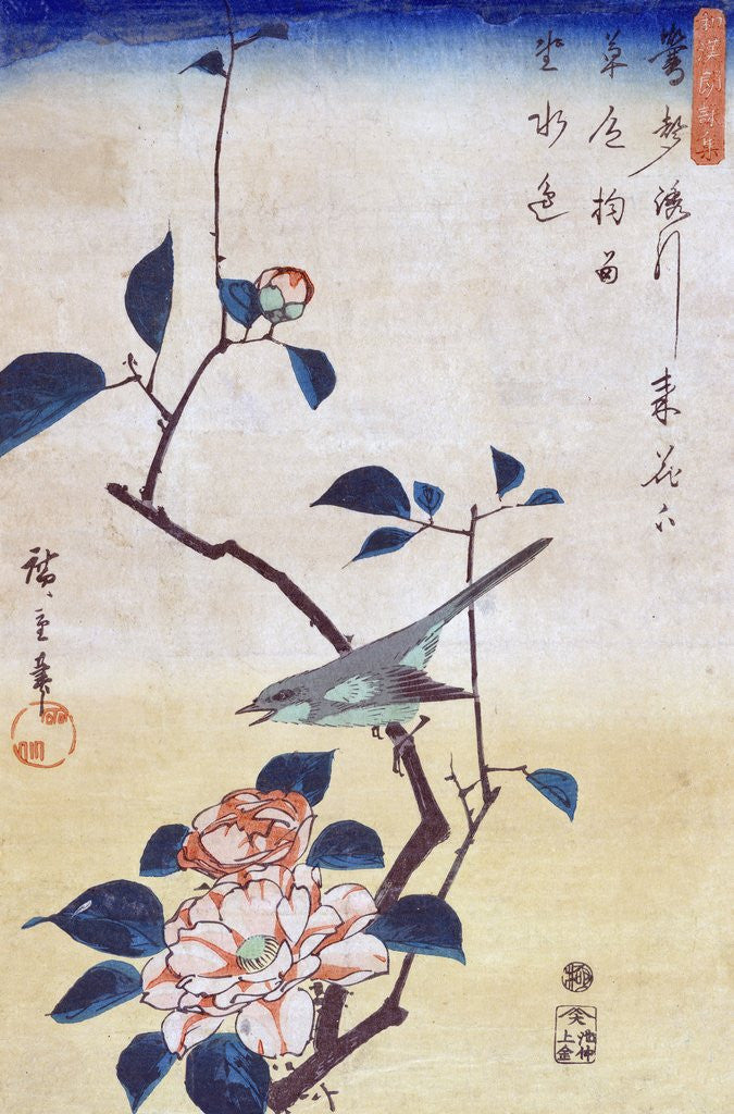 Detail of Tsubaki ni Uguisu (Camellia and Bush Warbler) by Utagawa Hiroshige