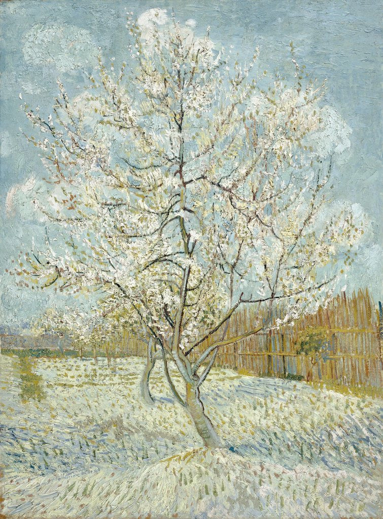 Detail of The Pink Peach Tree by Vincent Van Gogh