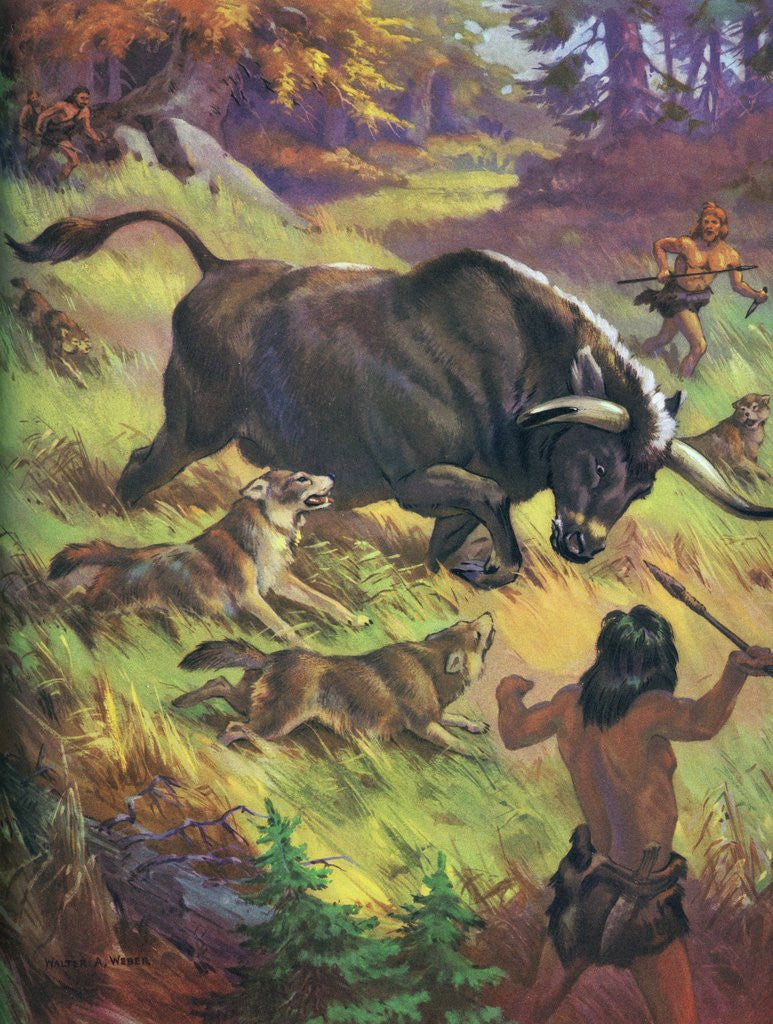 Detail of Cavemen hunting an auroch by Anonymous