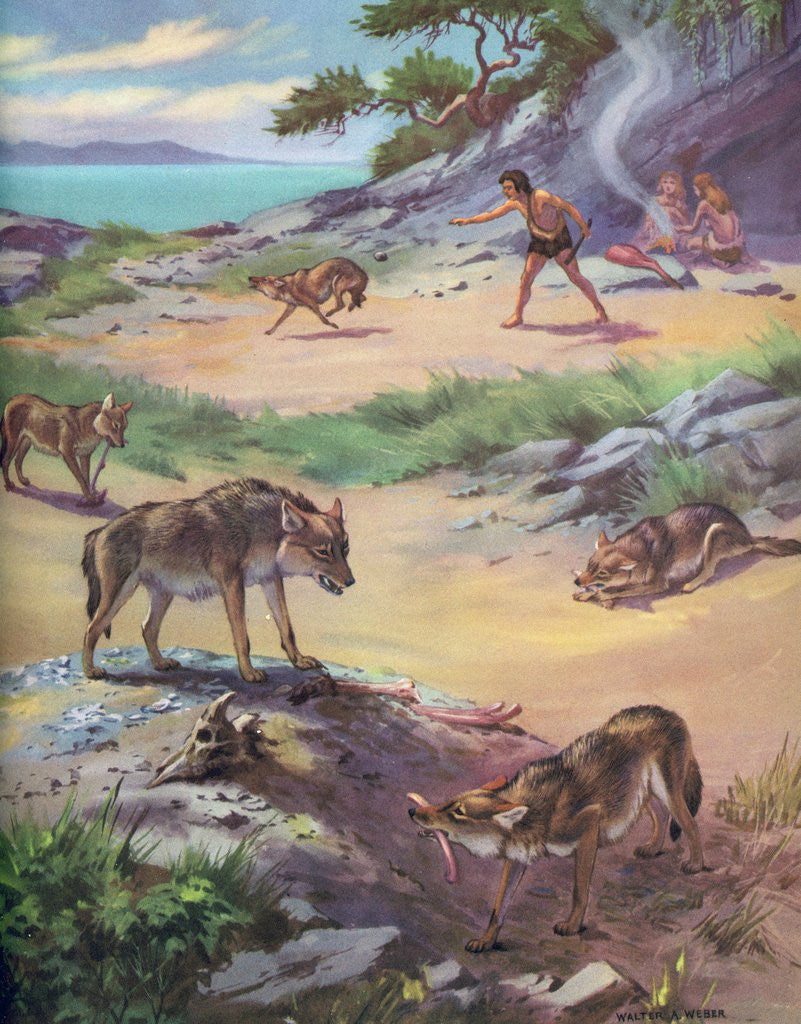 Detail of Jackals stealing food from cavemen by Anonymous