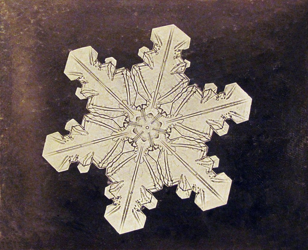 Detail of Study of a snowflake by Corbis