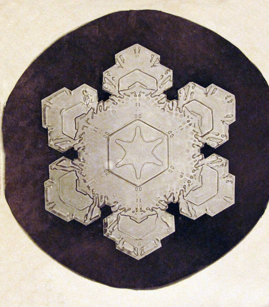 Detail of Study of a snowflake by Anonymous