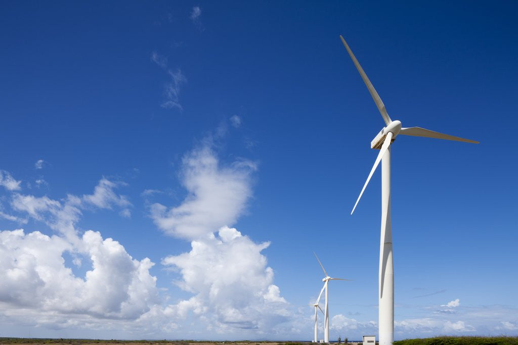 Detail of Wind Turbines at Curacao by Anonymous