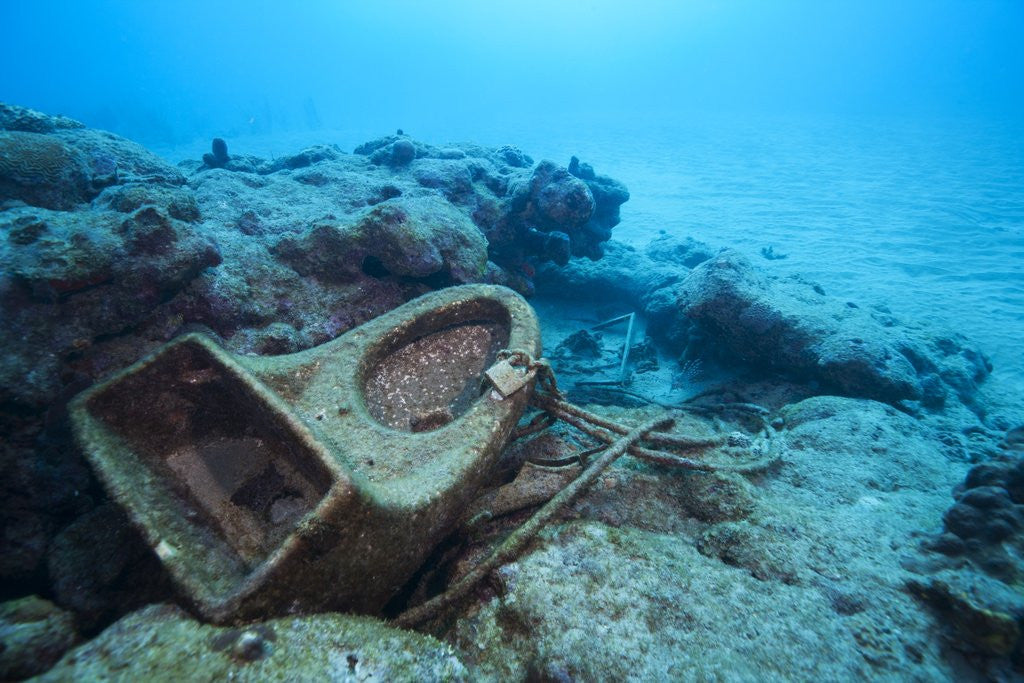 Detail of Toilet bowl resting on coral reef in Dominican Republic by Anonymous