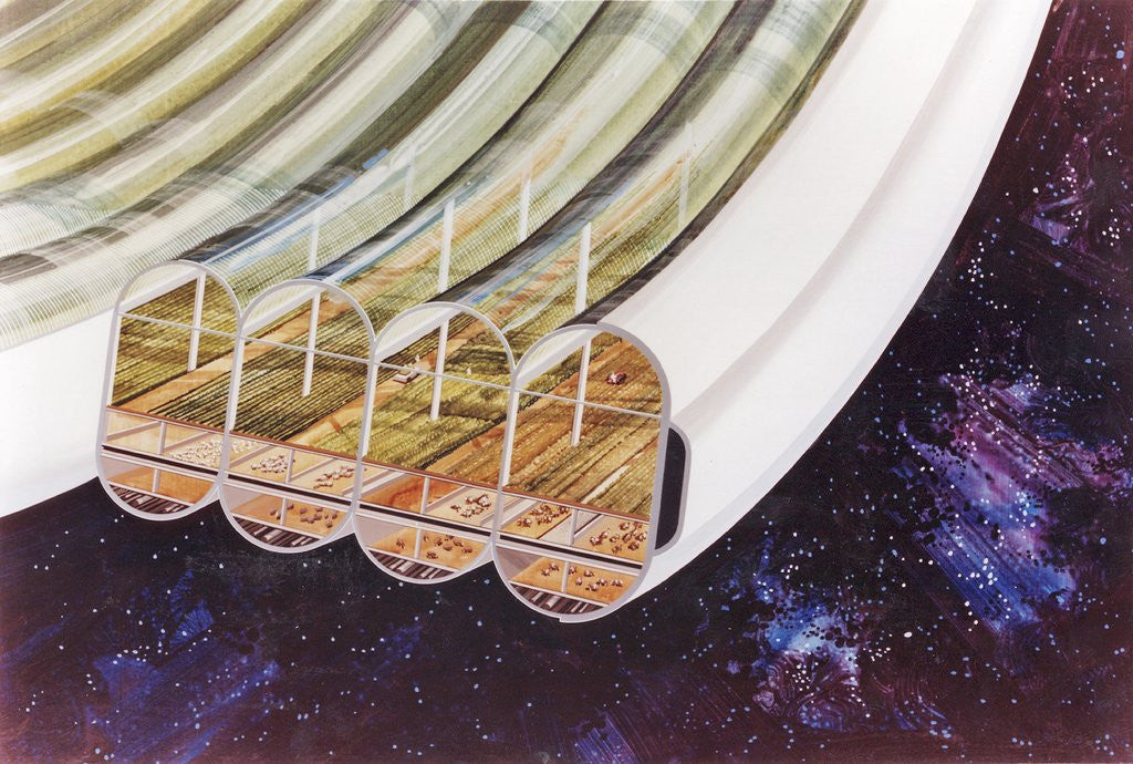 Detail of View of Bernal Sphere agricultural module (multiple toroids) with cutaway to expose interior by Anonymous