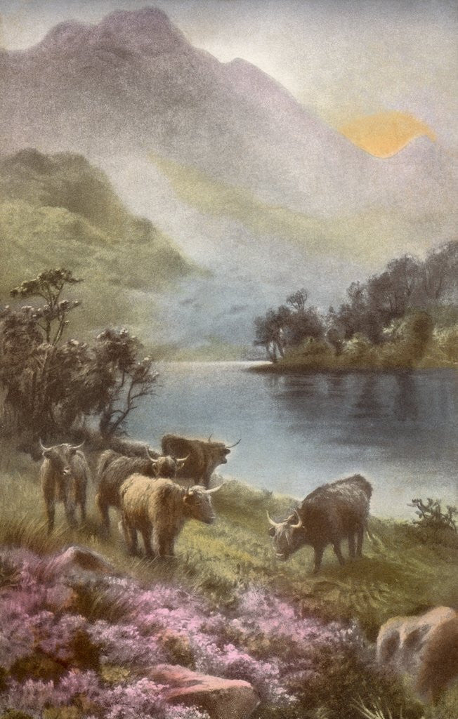 Detail of Scene of countryside in Scotland by Anonymous