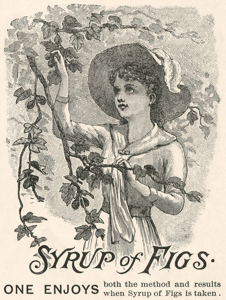 Detail of Syrup of Figs advertisement by Anonymous